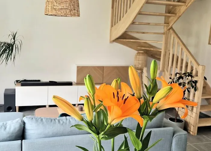 Maison Moderne A Baden